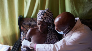 Au Zimbabwe, les herboristes poussent sur les ruines du syst&egrave;me de sant&eacute;