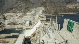 Ethiopia denies Trump claim mega-dam was financed by US