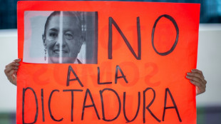 Mexique: journ&eacute;e sous haute tension avec le bras de fer entre la Cour et la pr&eacute;sidente