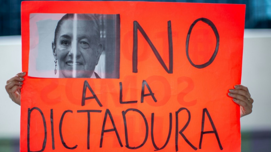 Mexique: l'autre crise qui couve mardi en Am&eacute;rique du Nord