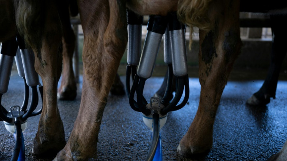 Erzeugerpreise f&uuml;r landwirtschaftliche Produkte im Dezember weiter leicht gesunken