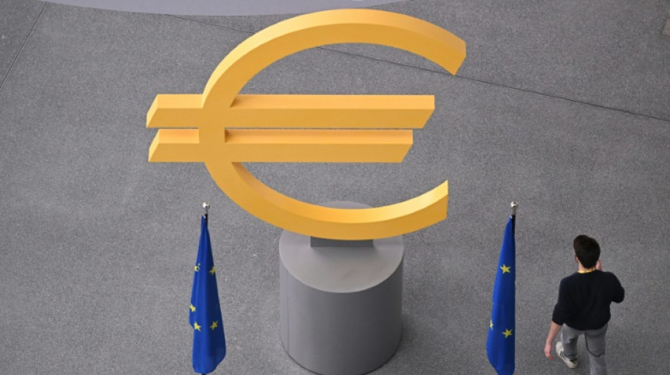 ECB set to hold rates steady with eye on France crisis