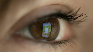 Un expolic&iacute;a brit&aacute;nico es condenado a cadena perpetua por extorsion sexual a menores