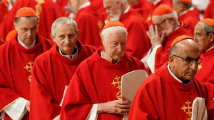 Cardenal español Fernández Artime, una opción de continuismo de Francisco