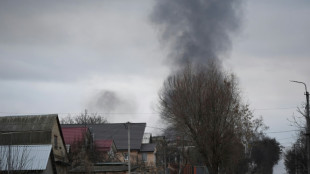 L'arm&eacute;e russe se rapproche de Kiev pour "d&eacute;capiter" le pouvoir, selon Washington