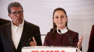 Campanha presidencial mexicana esquenta motores com protesto e inscri&ccedil;&atilde;o de favorita