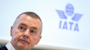 Vers un nombre "historique" de passagers a&eacute;riens en 2024
