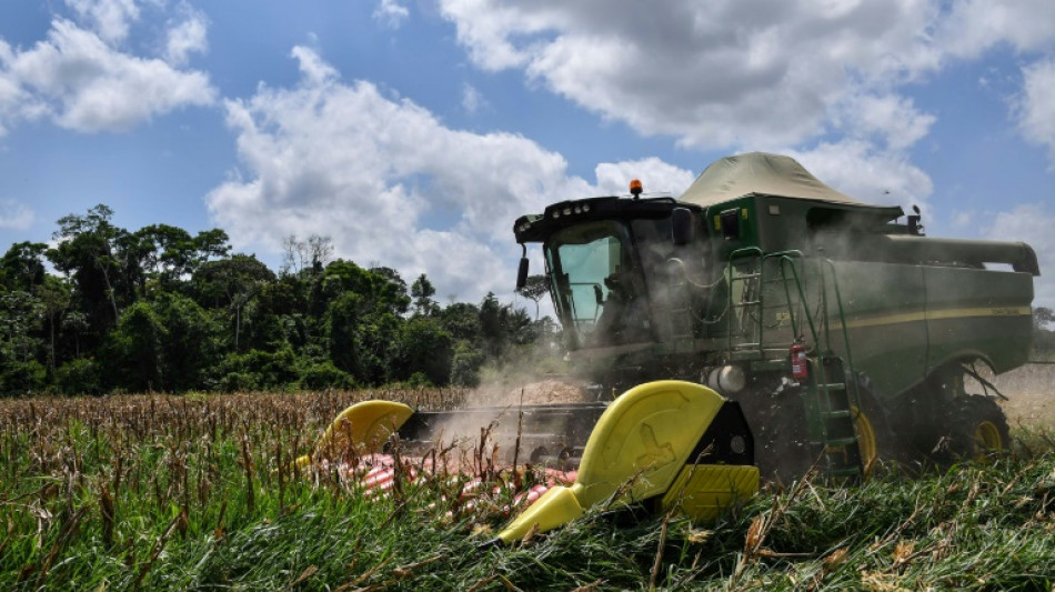 Ukraine: le Br&eacute;sil va exporter plus de ma&iuml;s, mais craint de manquer d'engrais russes