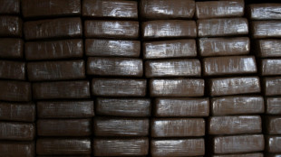 Confiscan en Espa&ntilde;a 620 kilos de coca&iacute;na mezclada con sal llegados de Colombia