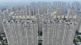 Chinas Regierung k&uuml;ndigt neue Hilfen f&uuml;r kriselnde Immobilienbranche an 