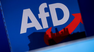 Umfrage: Mehrheit der Deutschen für AfD-Verbotsverfahren