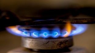 Il prezzo del gas apre in rialzo a 35,50 euro