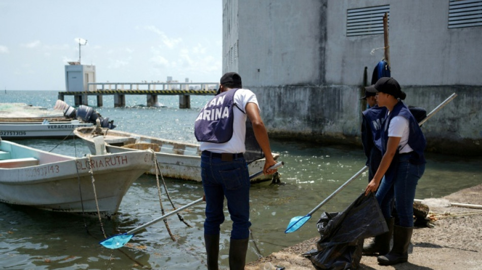 El derrame de crudo en M&eacute;xico fue causado por un buque y emanaciones naturales, asegura el gobierno