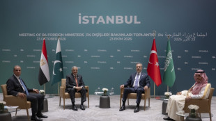 Iran : huit hauts diplomates d'Europe et du Moyen-Orient &agrave; Istanbul