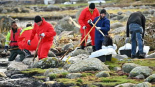 Suecia intenta detener la fuga de di&eacute;sel de un ferry encallado