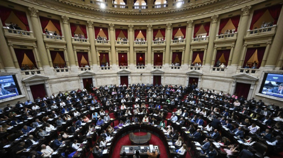 Argentine: l'&eacute;lan d&eacute;r&eacute;gulateur de Milei &agrave; l'&eacute;preuve du parlement