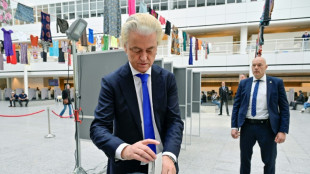 Europ&eacute;ennes: les Irlandais aux urnes, gains de l'extr&ecirc;me droite n&eacute;erlandaise