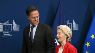 Rutte und von der Leyen wollen R&uuml;stungsproduktion in Europa steigern