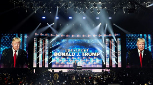 Trump, acusado de haber agredido a una exmodelo que le presentó Epstein