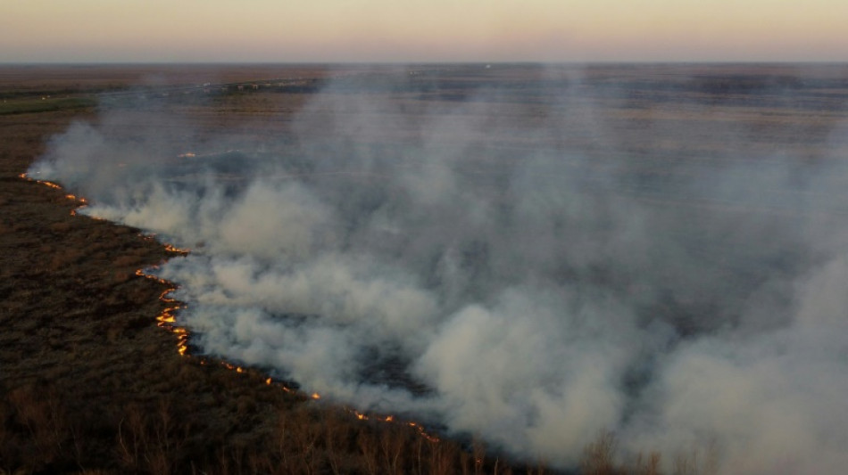 Argentine: feux importants dans le delta du Parana, les &eacute;cobuages montr&eacute;s du doigt