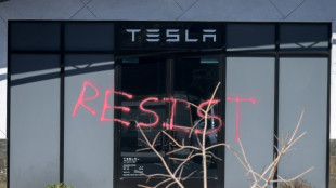 Angezündete Teslas: Verdächtiger in USA wegen Vorwurfs der Brandstiftung vor Gericht