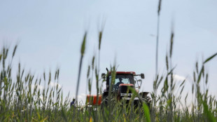 Bayer will Bio-Insektenvernichtungsmittel f&uuml;r Getreide auf den Markt bringen