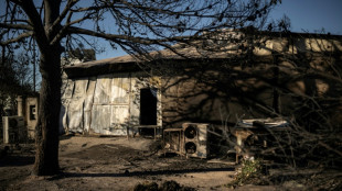 Desolaci&oacute;n cerca de Atenas en la f&aacute;brica devorada por las llamas donde muri&oacute; una mujer