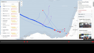 Flotilla, 'attivisti a bordo nave militare israeliana'