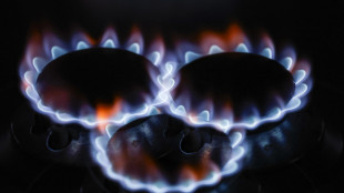 Il prezzo del gas in calo a 71,52 euro