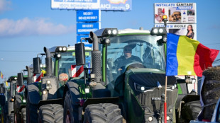 En Roumanie, le d&eacute;sarroi d'agriculteurs "au bout du rouleau"