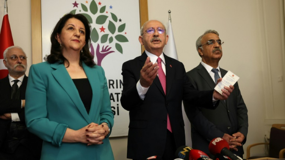 El partido prokurdo turco apoya t&aacute;citamente al rival de Erdogan en las elecciones