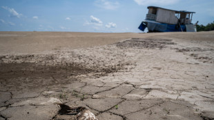 Brasile, la siccit&agrave; minaccia la navigazione sul Rio delle Amazzoni