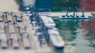 EEUU expresa preocupaci&oacute;n por un fallo en Per&uacute; que limita la supervisi&oacute;n del puerto de Chancay