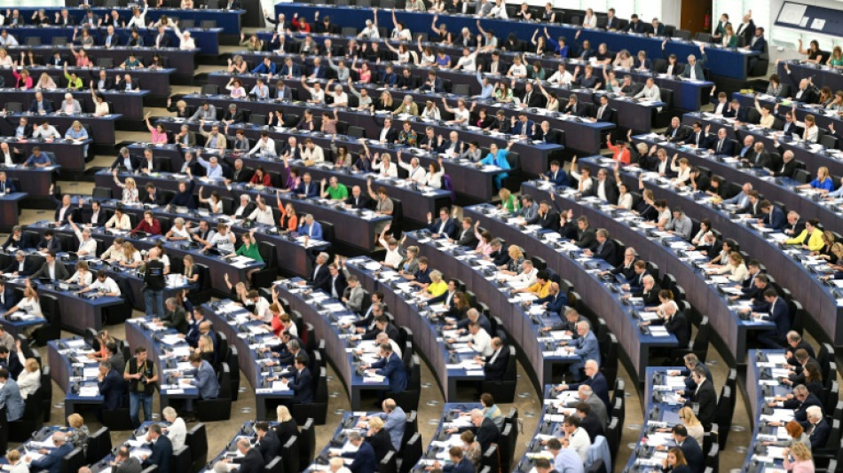 EU-Parlament ebnet Weg f&uuml;r neue Medienaufsicht