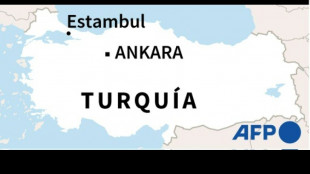 Más de 250 personas evacuadas tras un nuevo incendio en Turquía