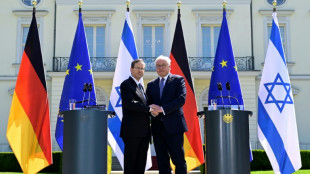 Steinmeier dankt Israel für "Geschenk" der Freundschaft - Herzog zu Besuch in Berlin