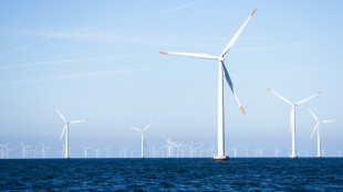 Trump-Regierung ordnet Baustopp für Offshore-Windprojekt in Rhode Island an
