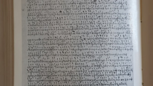 'Mixed feelings': AI cracks centuries-old ciphers