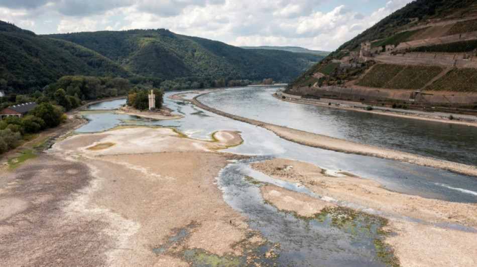 Credit Suisse erwartet wegen Rhein-Niedrigwasser h&ouml;here Inflation in der Schweiz