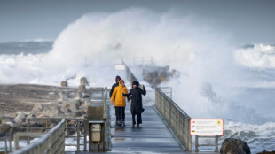 Lindners Vorsto&szlig; zu &Ouml;l- und Gasf&ouml;rderung in Nordsee st&ouml;&szlig;t bei Gr&uuml;nen auf Bedenken