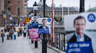 Sweden immigration restrictions spark healthcare concerns