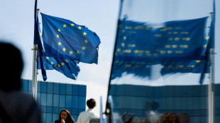 Zone euro: nouveau recul de l'activit&eacute; &eacute;conomique en d&eacute;cembre (PMI Flash)